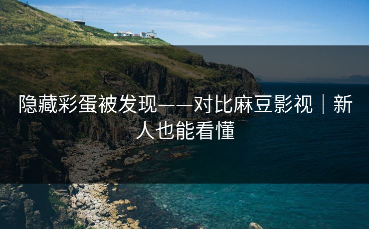 隐藏彩蛋被发现——对比麻豆影视｜新人也能看懂