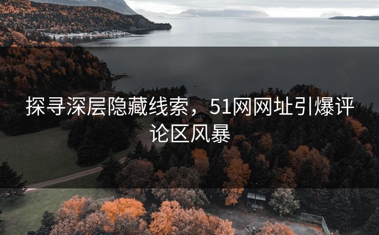 探寻深层隐藏线索，51网网址引爆评论区风暴